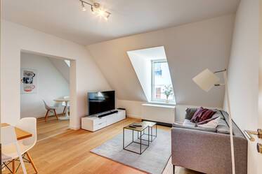 Bright attic apartment near technical university 