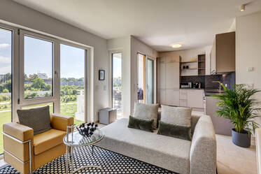 3-room apartment with high-quality equipment for rent