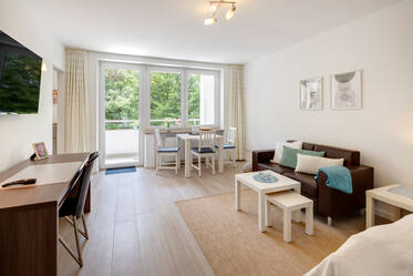 Central, spacious 1-room apartment for rent