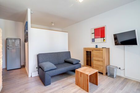 https://www.mrlodge.com/rent/1-room-apartment-munich-au-haidhausen-11089