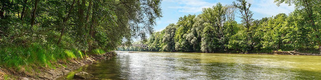 Rentals In Munich Herzogpark